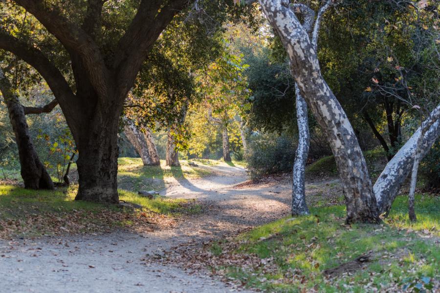 La Canada-Flintridge